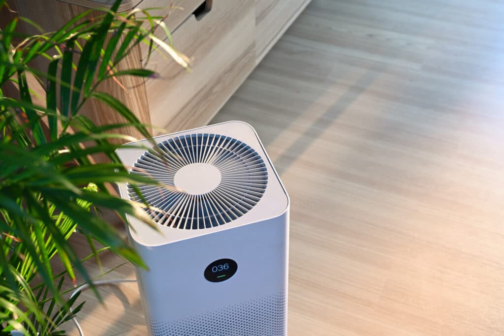 Portable HEPA air purifier running in a living room near a plant.
